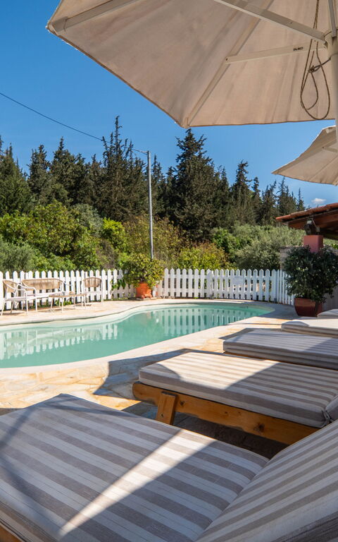 Villa Nikolas: all'aperto, Esterni, Piscina