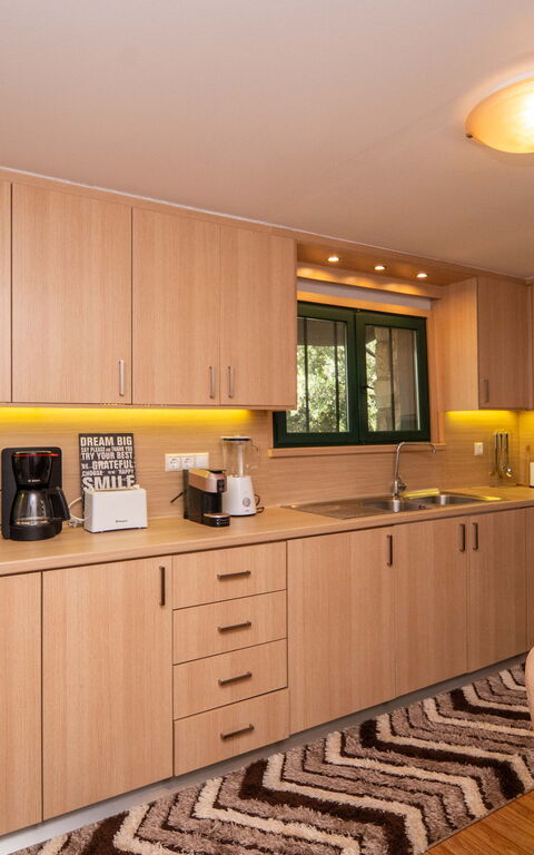 Villa Nikolas: Cucina