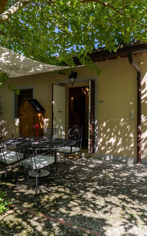 Villanova Lonciano - 2026: all'aperto, Esterni, Giardino