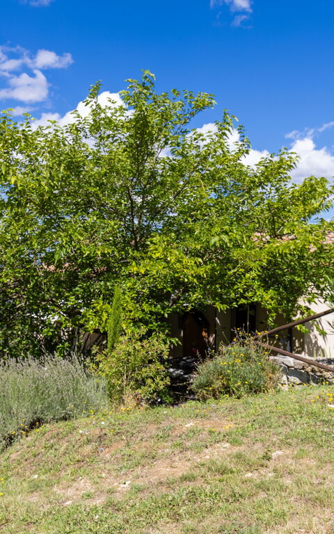 Villanova Lonciano - 2026: all'aperto, Esterni, Giardino