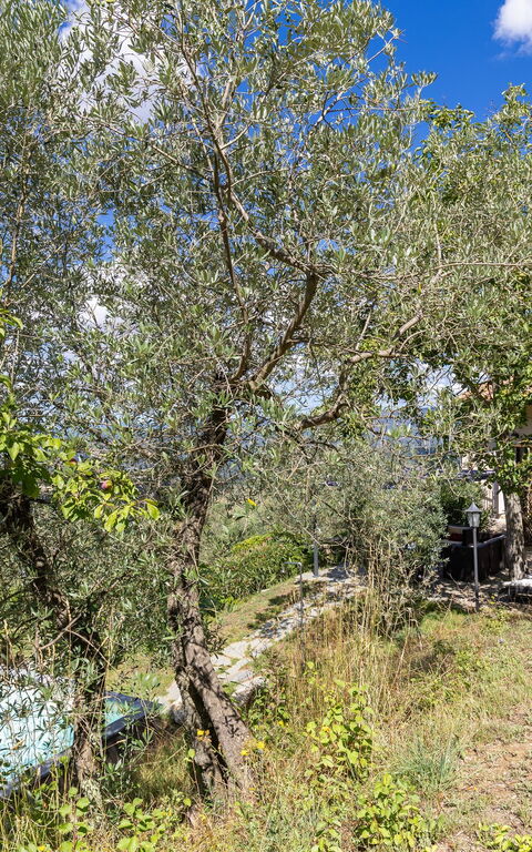 Villanova Lonciano - 2026: all'aperto, Esterni, Giardino