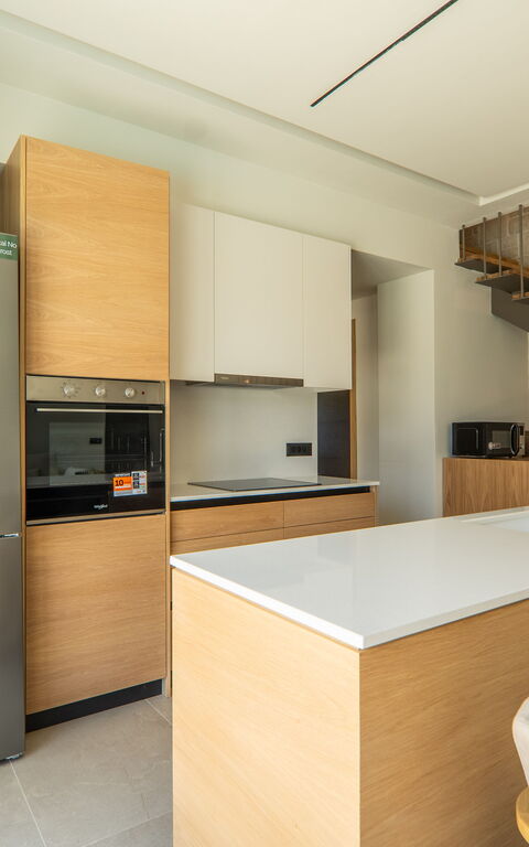 Villa Zen Aphrodite: Cucina