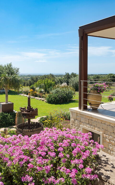 Corte Antigua: all'aperto, Balcone / Terrazza / Patio, Esterni, Giardino, Piscina