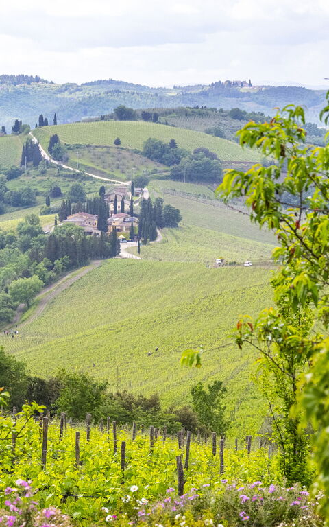 Villa Tenuta Casenuove: Vista Panoramica