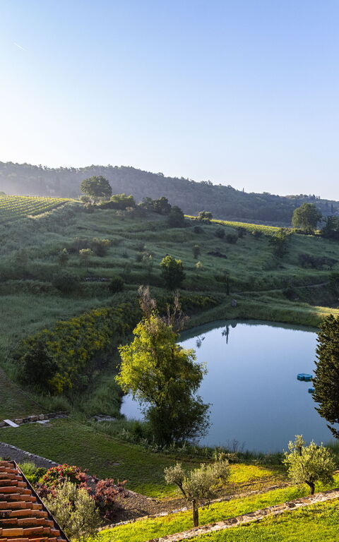 Villa Tenuta Casenuove: Vista Panoramica