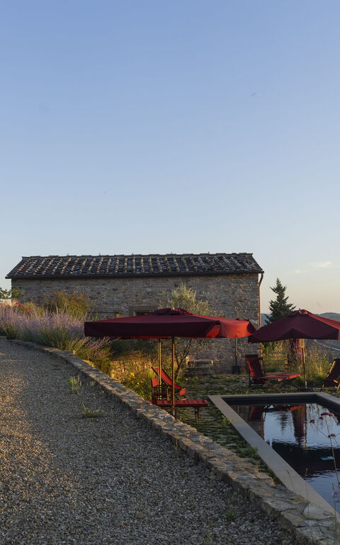 Villa Tenuta Casenuove: all'aperto, Esterni, Giardino, Piscina, Vista Panoramica