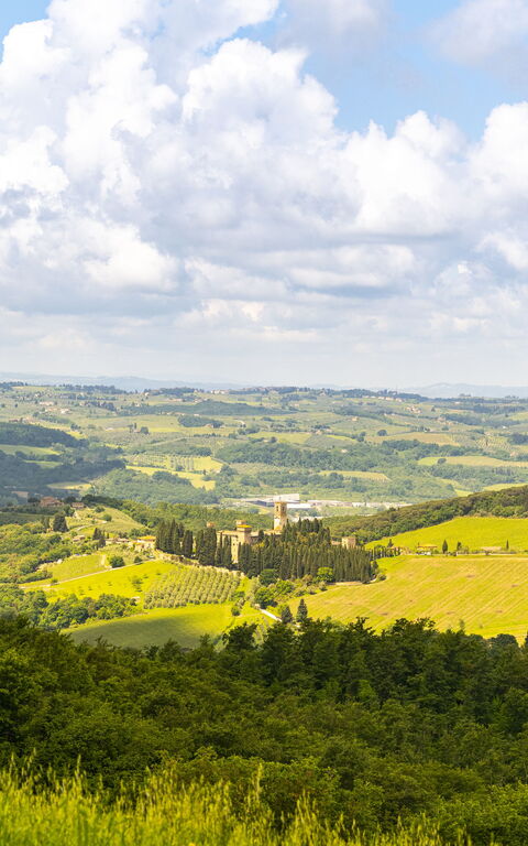 Villa Tenuta Casenuove: Vista Panoramica