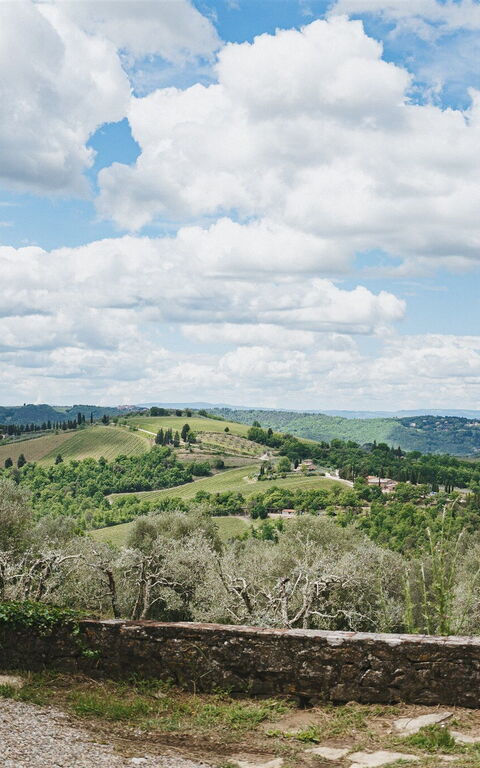 Podere Lupinati: Vista Panoramica