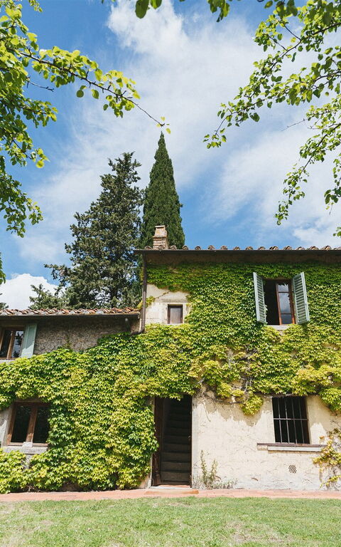 Podere Lupinati: all'aperto, Esterni