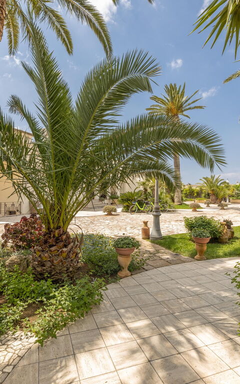 Villa Oasi Di Pace: all'aperto, Esterni