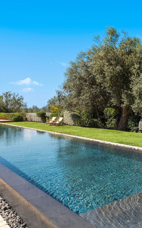 Domus Olivae: all'aperto, Esterni, Giardino, Piscina