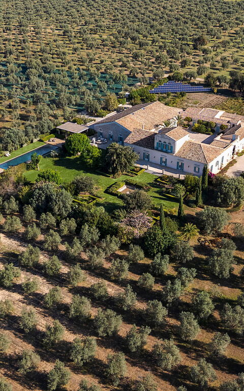 Domus Olivae: Vista Panoramica