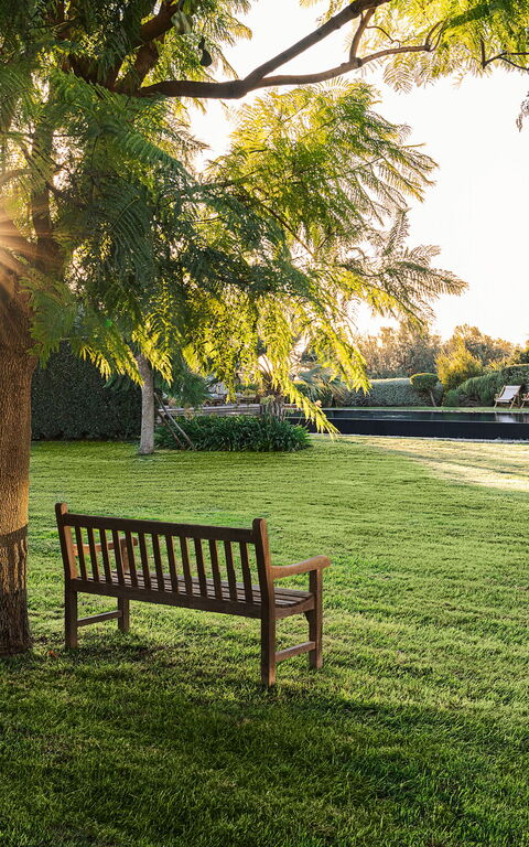 Domus Olivae: all'aperto, Esterni, Giardino