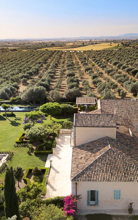 Domus Olivae: Giardino