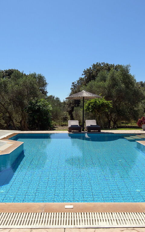 Villa Carreta: all'aperto, Esterni, Piscina