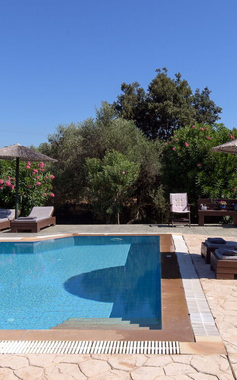 Villa Carreta: all'aperto, Esterni, Piscina