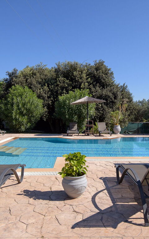 Villa Melitti: all'aperto, Esterni, Giardino, Piscina