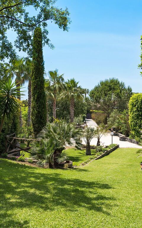 Villa Saracina: all'aperto, Esterni, Giardino