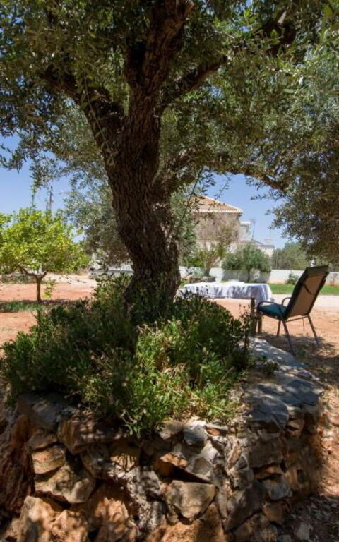 Magnolia: all'aperto, Esterni, Giardino