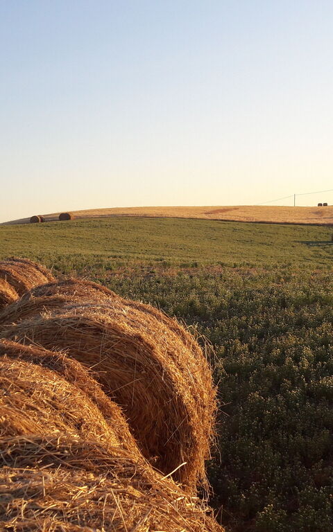 Podere Peteglia: Vista Panoramica