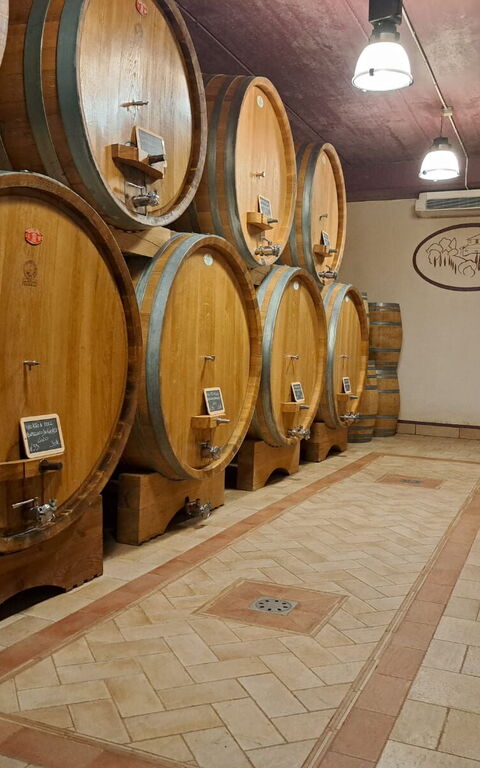 Podere Peteglia: Attività