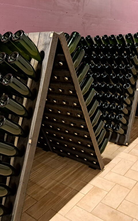 Podere Peteglia: Attività