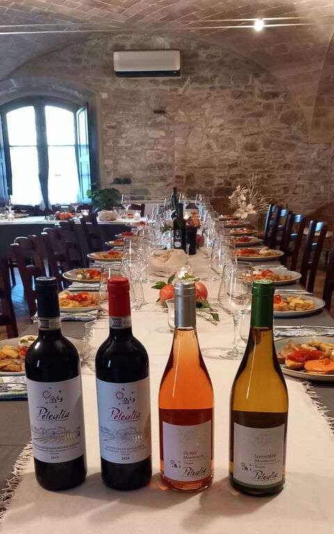 Podere Peteglia: Attività