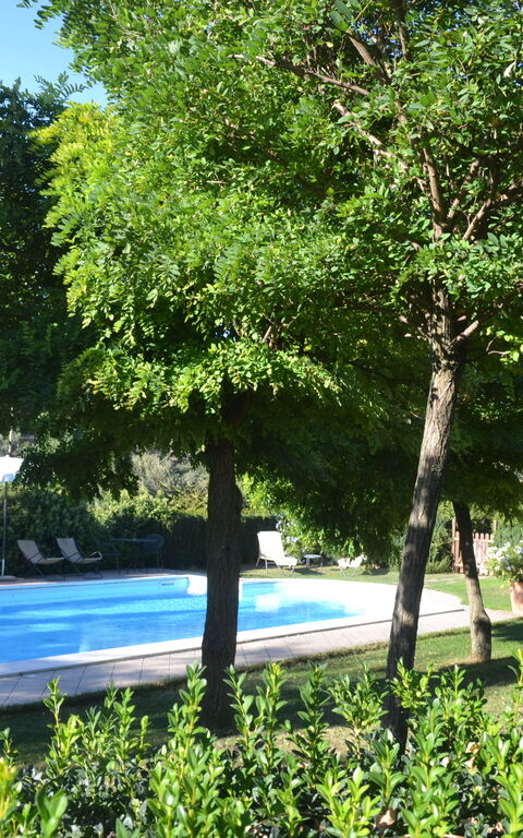 Podere Peteglia: all'aperto, Esterni, Giardino, Piscina