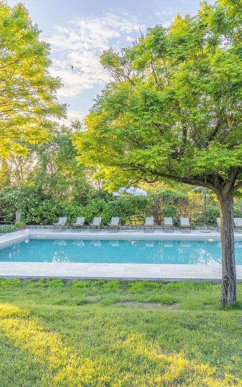 Podere Peteglia: all'aperto, Esterni, Giardino, Piscina