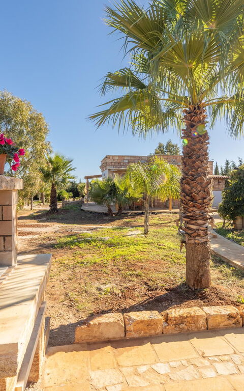 Villa Renedda: all'aperto, Esterni