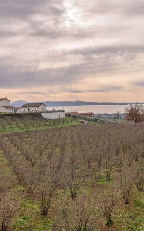 Tenuta Poggio Guiano: Vista Panoramica