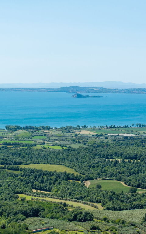 Tenuta Poggio Guiano: Vista Panoramica