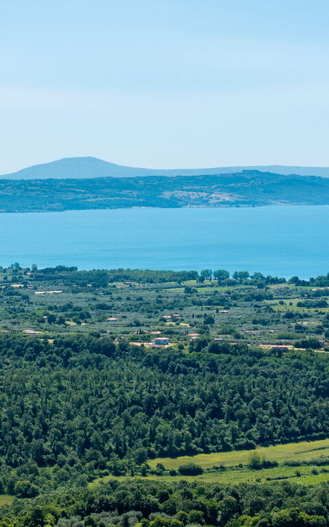 Tenuta Poggio Guiano: Vista Panoramica