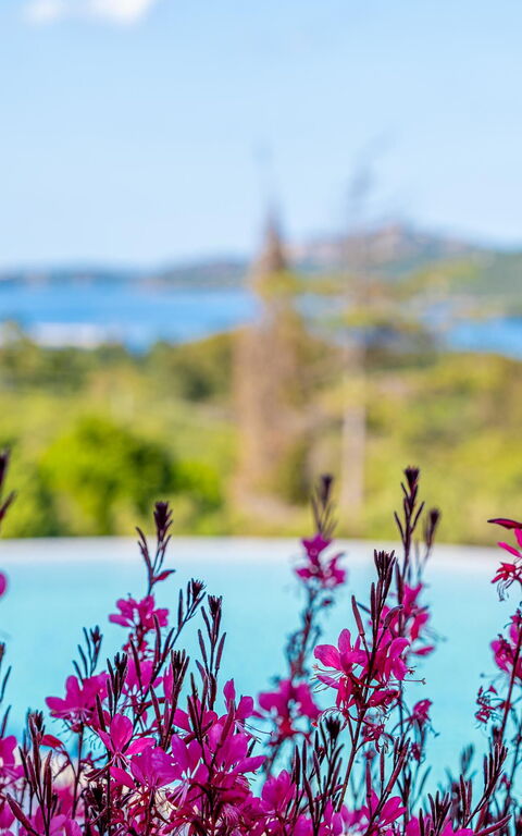 Villa Zephyros: Piscina, Vista Panoramica