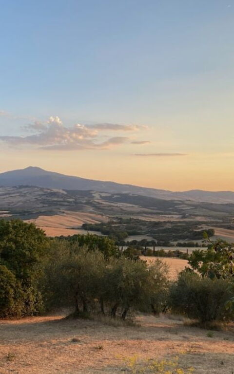 Podere i Prati: Vista Panoramica