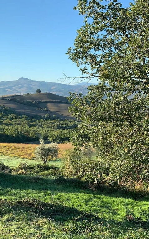 Podere i Prati: Vista Panoramica