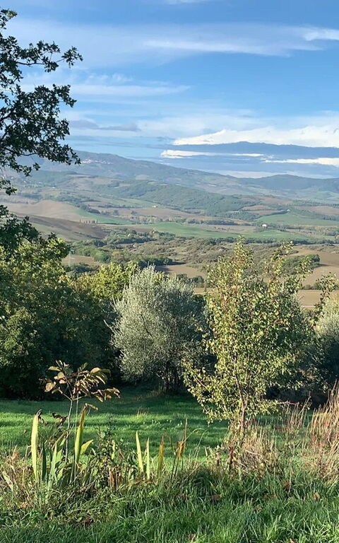 Podere i Prati: Vista Panoramica