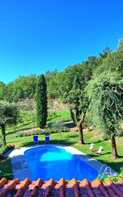 Villa Ulivacci: Piscina