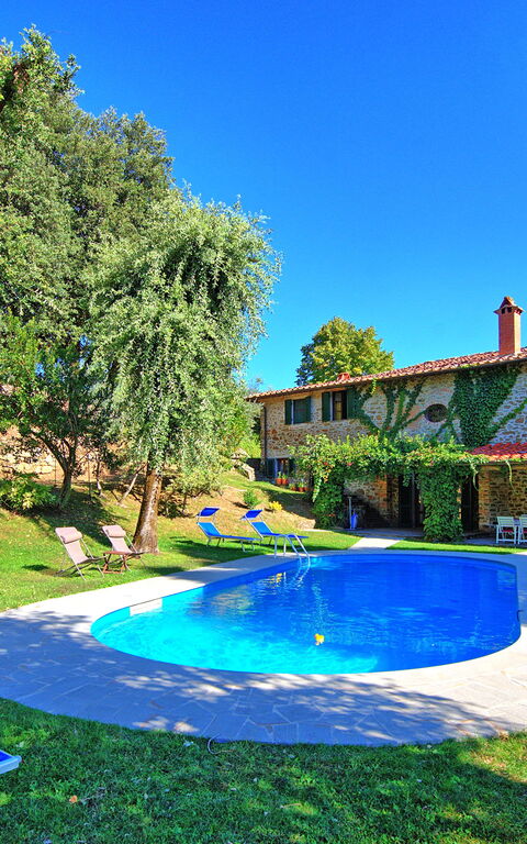 Villa Ulivacci: all'aperto, Estate, Esterni, Giardino, Piscina