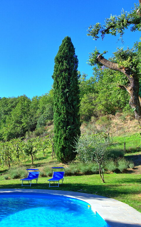 Villa Ulivacci: Piscina