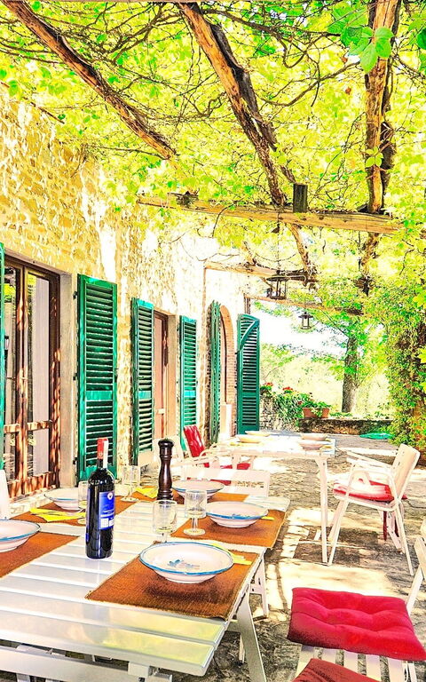 Villa Ulivacci: all'aperto