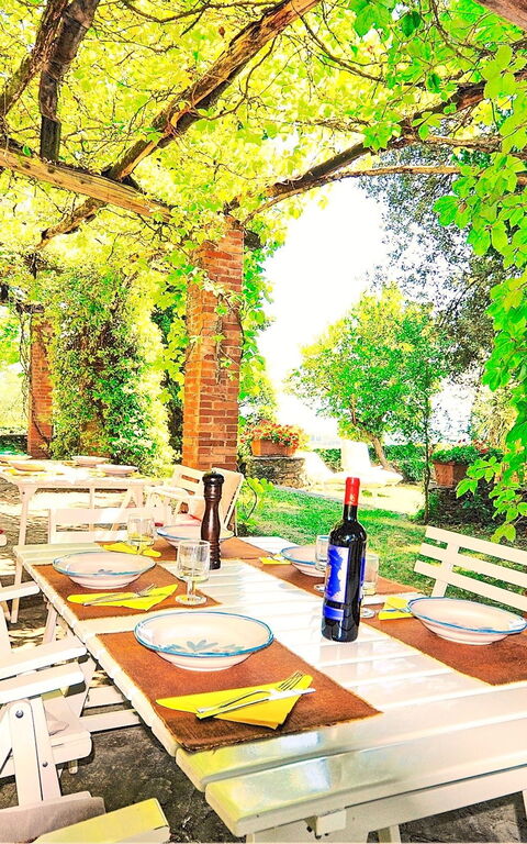 Villa Ulivacci: all'aperto