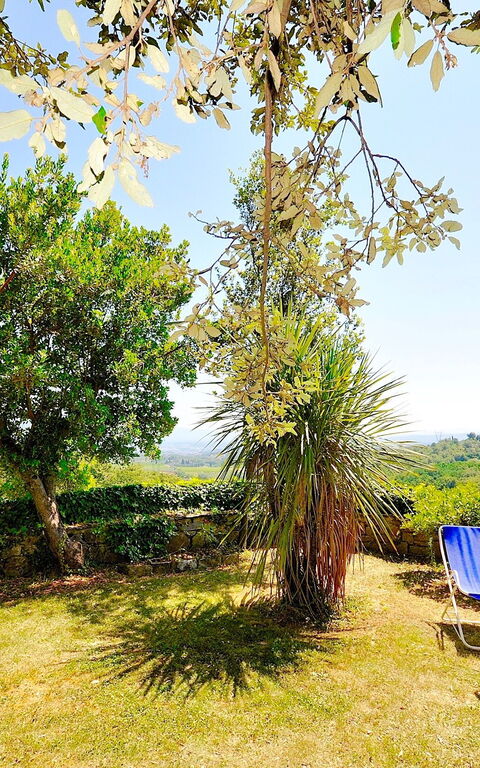 Villa Ulivacci: Giardino