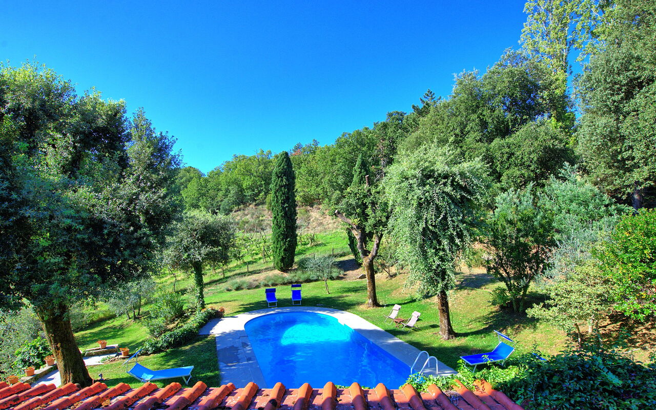 Villa Ulivacci: Piscina