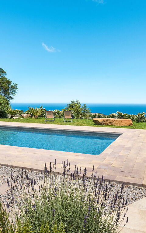 Casita: all'aperto, Esterni, Giardino, Piscina