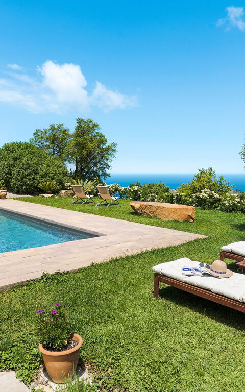 Casita: all'aperto, Esterni, Giardino, Piscina