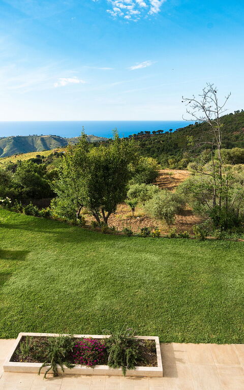 Casita: all'aperto, Esterni, Giardino