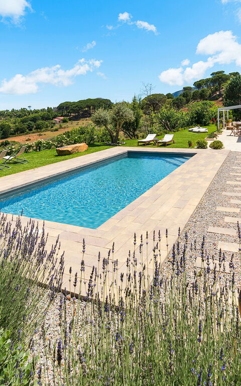 Casita: all'aperto, Esterni, Giardino, Piscina