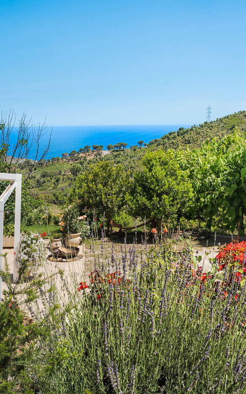 Casita: all'aperto, Balcone / Terrazza / Patio, Esterni