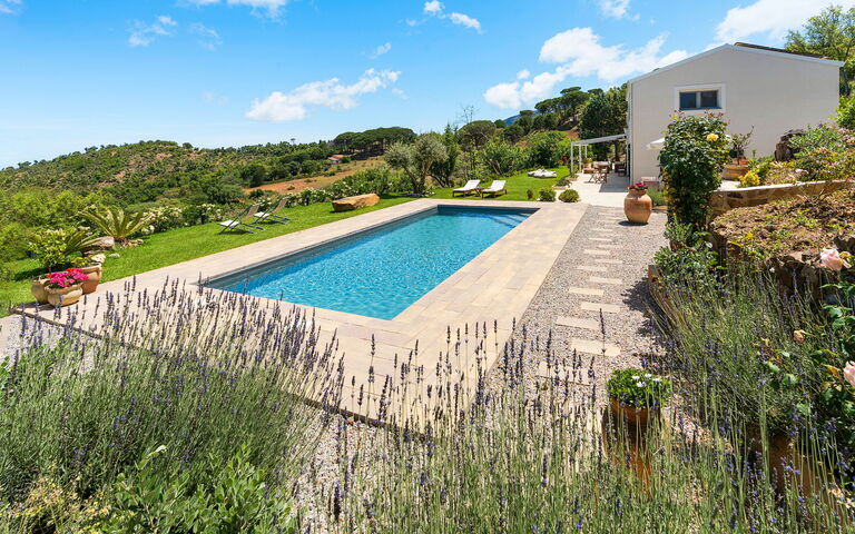 Casita: all'aperto, Esterni, Giardino, Piscina